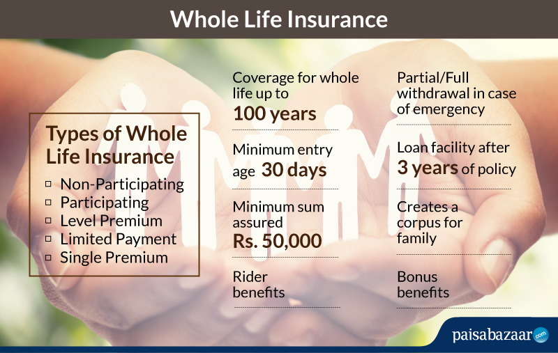 Whole Life Insurance Check Compare Whole Life Insurance Online