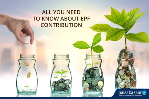 All You Need To Know About Epf Contrbutions - Paisabazaar.com