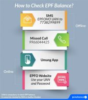 Check EPF Balance Online: Via Umang App, SMS, Missed Call